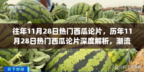 歷年11月28日熱門西瓜論片深度解析與潮流背后的故事探究