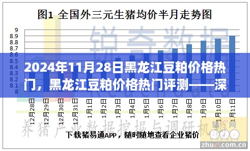 黑龍江豆粕價格熱門解析，深度剖析豆粕特性、用戶體驗與目標(biāo)用戶群體分析報告