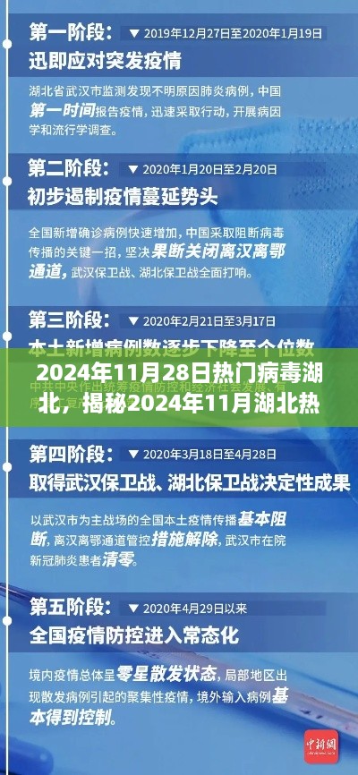 揭秘湖北熱門病毒現(xiàn)象，傳播特點、防控措施與公眾關(guān)注焦點（2024年11月報告）