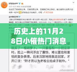 歷史上的11月28日，小催熱門消息回顧