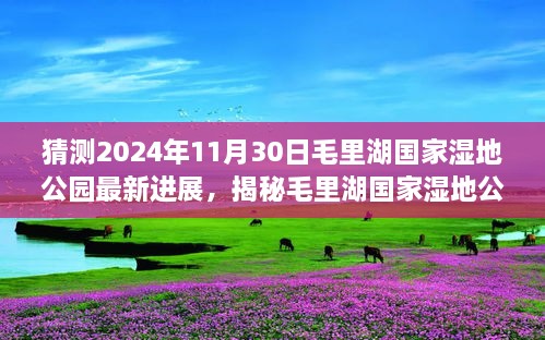 猜測2024年11月30日毛里湖國家濕地公園最新進展，揭秘毛里湖國家濕地公園，2024年最新進展展望