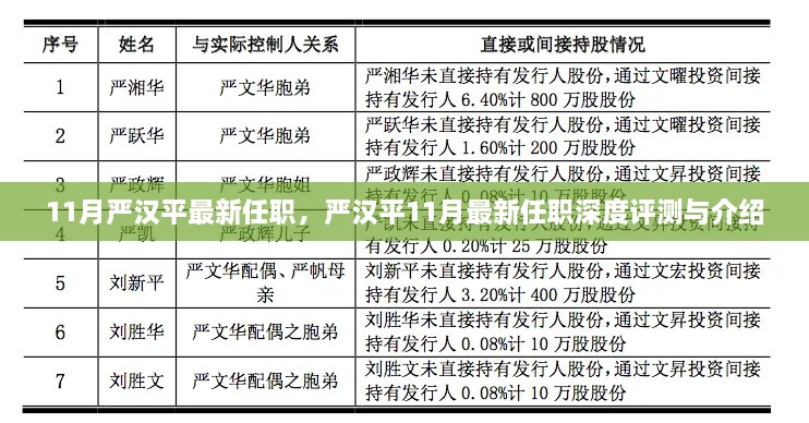 嚴(yán)漢平最新任職深度解析與介紹，揭秘其11月新職務(wù)的機(jī)遇與挑戰(zhàn)