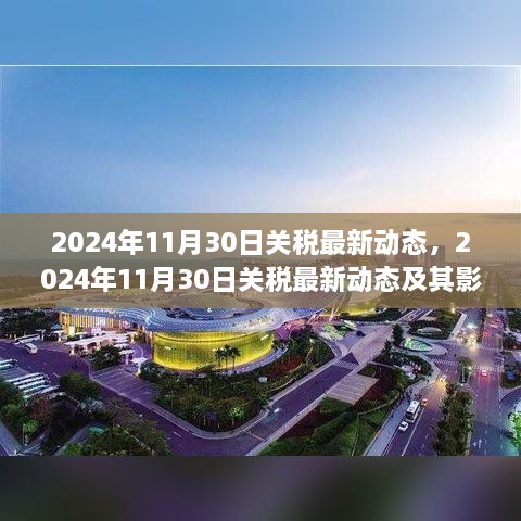 深度解析，2024年11月30日關(guān)稅最新動態(tài)及其全球影響