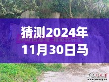 揭秘未來，馬山縣石豐村2024年11月30日最新動態(tài)展望指南