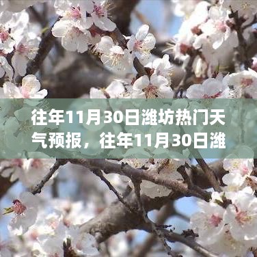 濰坊往年11月30日天氣預(yù)報(bào)回顧與旅行建議，氣象分析與建議