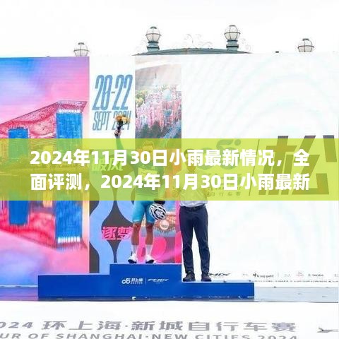 2024年11月30日小雨最新情況深度解析與全面評(píng)測(cè)