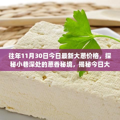 探秘小巷深處的蔥香秘境，揭秘往年今日最新大蔥價(jià)格背后的故事