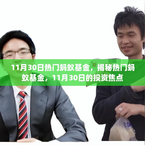 揭秘熱門螞蟻基金，11月30日的投資焦點分析