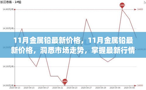 2024年12月1日 第29頁