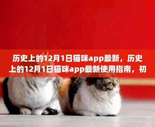 歷史上的12月1日貓咪app最新，歷史上的12月1日貓咪app最新使用指南，初學(xué)者與進(jìn)階用戶(hù)的全面教程