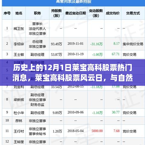 歷史上的12月1日萊寶高科股票熱門消息，萊寶高科股票風(fēng)云日，與自然美景的奇妙邂逅，心靈旅行的啟程時(shí)刻