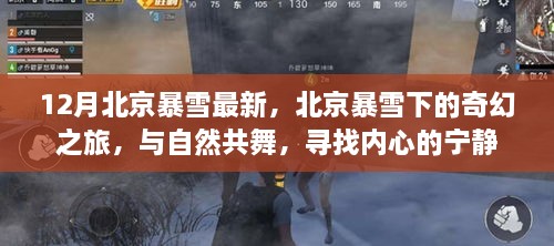 北京暴雪下的奇幻之旅，與自然共舞，探尋內(nèi)心寧?kù)o的旅程