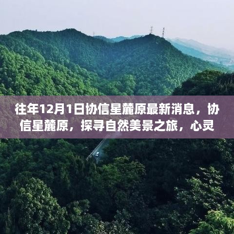 協(xié)信星麓原最新消息，探尋自然美景之旅的心靈港灣