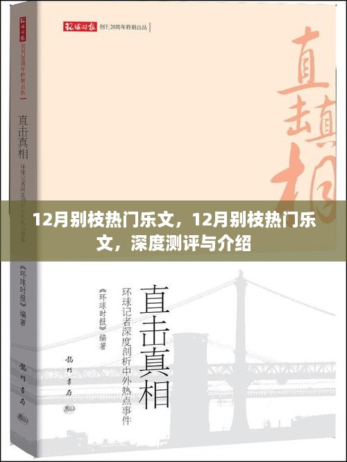 深度測評與介紹，12月別枝熱門樂文