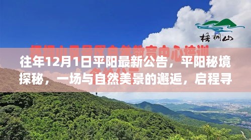 平陽秘境探秘之旅，與自然美景的邂逅，尋找寧靜之地啟程