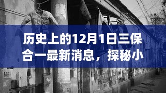 歷史上的12月1日三保合一揭秘，最新消息與小巷深處的獨(dú)特風(fēng)味