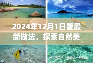 2024年12月2日 第13頁