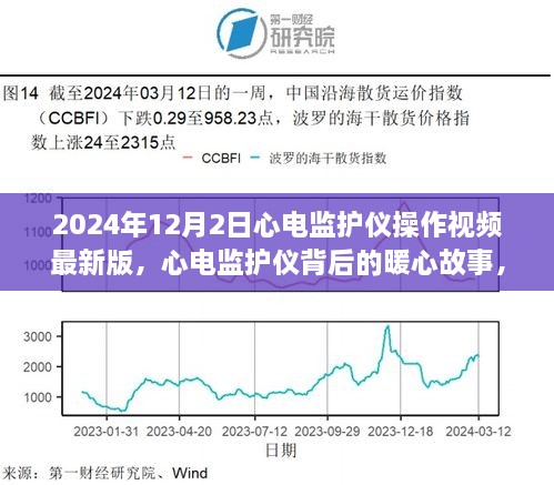 2024年12月3日 第8頁