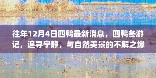 往年12月4日四鴨冬游記，追尋寧?kù)o與美景的不解之緣