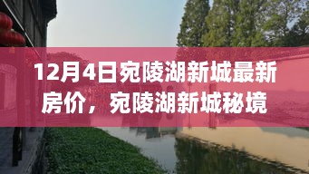 宛陵湖新城房價(jià)揭秘，秘境小巷特色小店與最新房價(jià)探秘之旅