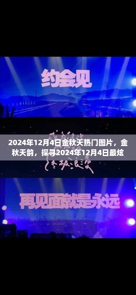 探尋金秋韻味，2024年12月4日熱門圖片精選