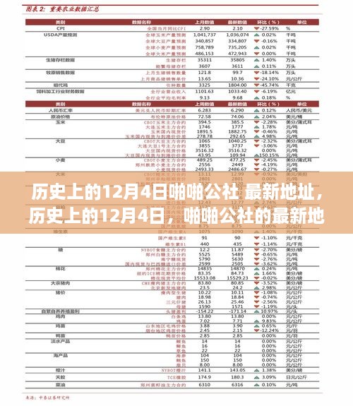 歷史上的12月4日，啪啪公社的最新地址及其背后的故事揭秘（科普文章）