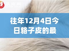 12月4日貉子皮最新價格及歷年趨勢解析，市場動態(tài)一覽