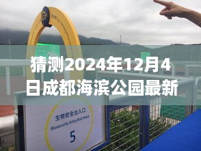 探秘時光角落，成都海濱公園2024年12月4日的最新動態(tài)與溫馨日常揭秘