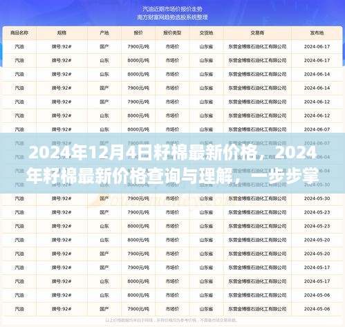 2024年12月4日籽棉最新價格，2024年籽棉最新價格查詢與理解，一步步掌握行情分析技能