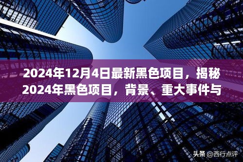 揭秘，2024年黑色項目的背景、重大事件與深遠影響全解析