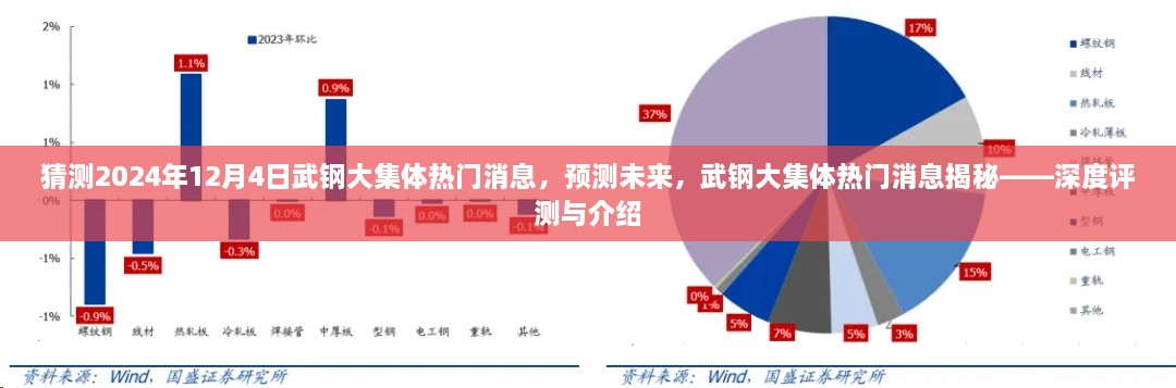 揭秘武鋼大集體未來熱門消息，深度評測與預測報告（2024年12月4日版）