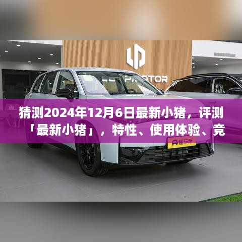 最新小豬測評報告，特性、體驗、競品對比及目標用戶群體分析（預(yù)測至2024年）