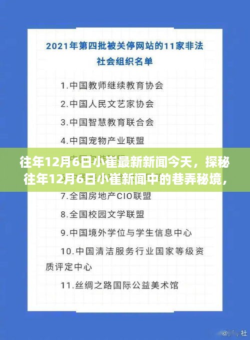 探秘往年12月6日小崔新聞中的巷弄秘境，小巷深處的特色小店揭秘