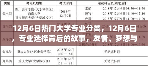 專業(yè)背后的故事，友情、夢(mèng)想與家的紐帶——12月6日熱門大學(xué)專業(yè)分類探索