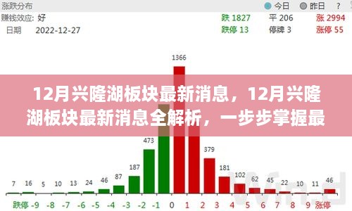 掌握興隆湖板塊最新動態(tài)，全面解析十二月最新消息