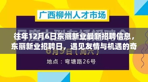 東麗新業(yè)招聘日，遇見友情與機(jī)遇的奇妙一天，最新招聘信息一網(wǎng)打盡！