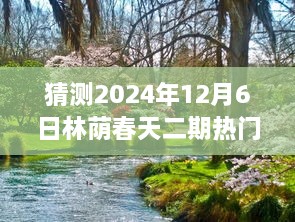 揭秘林蔭春天二期未來走向，預(yù)測熱門消息與未來展望（2024年12月6日分析）