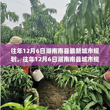 湖南南縣往年城市規(guī)劃揭秘，洞悉最新藍圖與發(fā)展趨勢