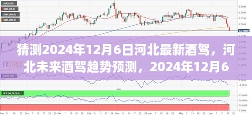 河北未來(lái)酒駕趨勢(shì)預(yù)測(cè)，以2024年視角洞察酒駕現(xiàn)狀與發(fā)展展望