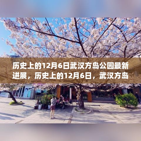 武漢方島公園最新進(jìn)展深度解析，歷史上的12月6日回顧與進(jìn)展報(bào)告