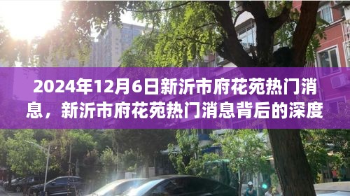 新沂市府花苑熱門(mén)消息深度解讀，多元視角探討