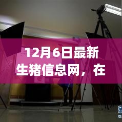 云端豬事，最新生豬信息小記（12月6日）