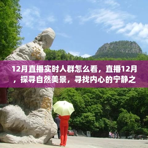 12月直播探尋自然美景，探尋內(nèi)心寧靜之旅的實時觀眾洞察