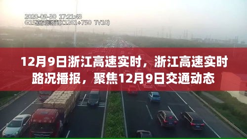 浙江高速實時路況播報，聚焦12月9日交通動態(tài)