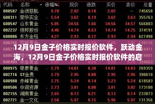 躍動金海，黃金實時報價軟件的啟示與自我超越之旅（12月9日版）