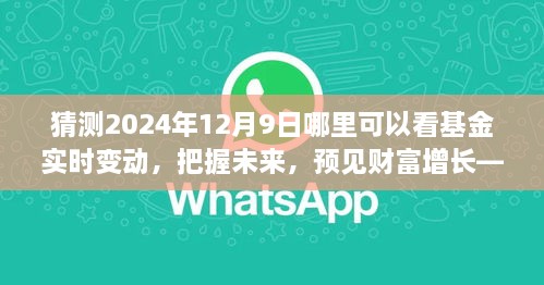 見證未來財(cái)富增長，把握基金實(shí)時(shí)變動(dòng)之旅，2024年12月9日揭曉！