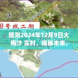 揭秘大梅沙海域未來生態(tài)與環(huán)境展望，2024年12月9日海洋生態(tài)實(shí)時(shí)揭秘