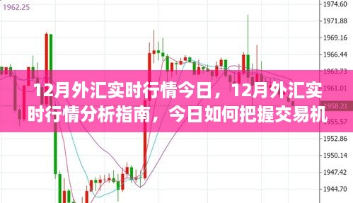 12月外匯實時行情解析，把握今日交易機遇的指南