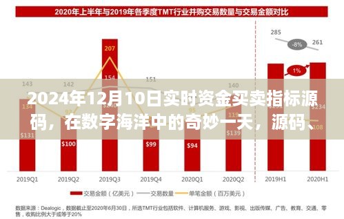 數(shù)字海洋中的奇妙一天，源碼揭秘與資金買賣指標之旅