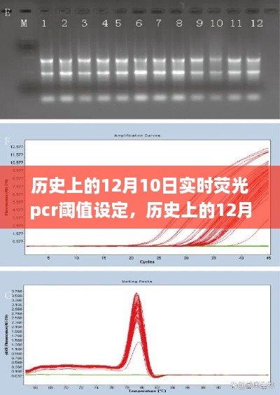 歷史上的12月10日，實(shí)時(shí)熒光PCR閾值設(shè)定的探索之旅